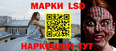 спиды Новодвинск