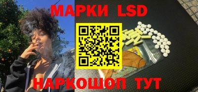 стафф Нальчик