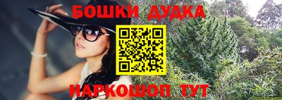 стафф Нальчик