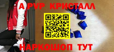 спиды Новодвинск
