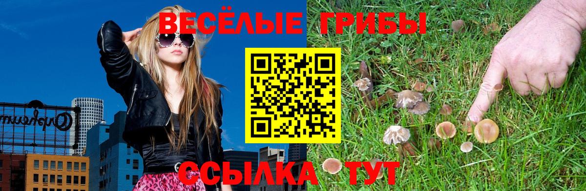 Усть-Илимск  Псилоцибиновые грибы мухоморы  Псилоцибиновые грибы Psilocybe  Вход с VPN 