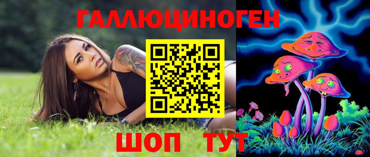 Галлюциногенные грибы Psilocybe Усть-Илимск